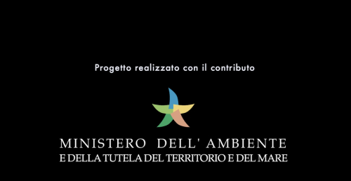 anteprima video pesci